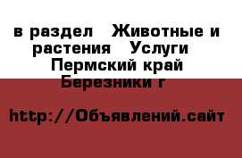  в раздел : Животные и растения » Услуги . Пермский край,Березники г.